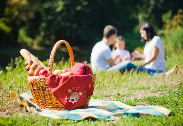 Simply-Delicious-Picnic 21